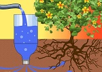 Про водохресну воду. Синодальний відділ у справах молоді упц