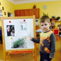 Тема кімнатні рослини 2 молодша група. Перелік кімнатних рослин з картинками за віковими групами а доу