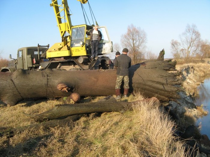 Фотографуватися уві сні: значення сновидіння. Фотографувати тлумачення сонника