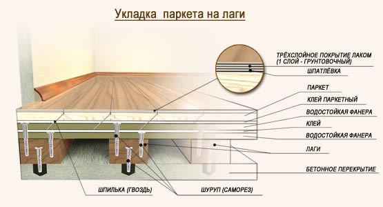 Закріпити скрипучі паркетні дошки на лагах. Причини і методи усунення скрипу паркету